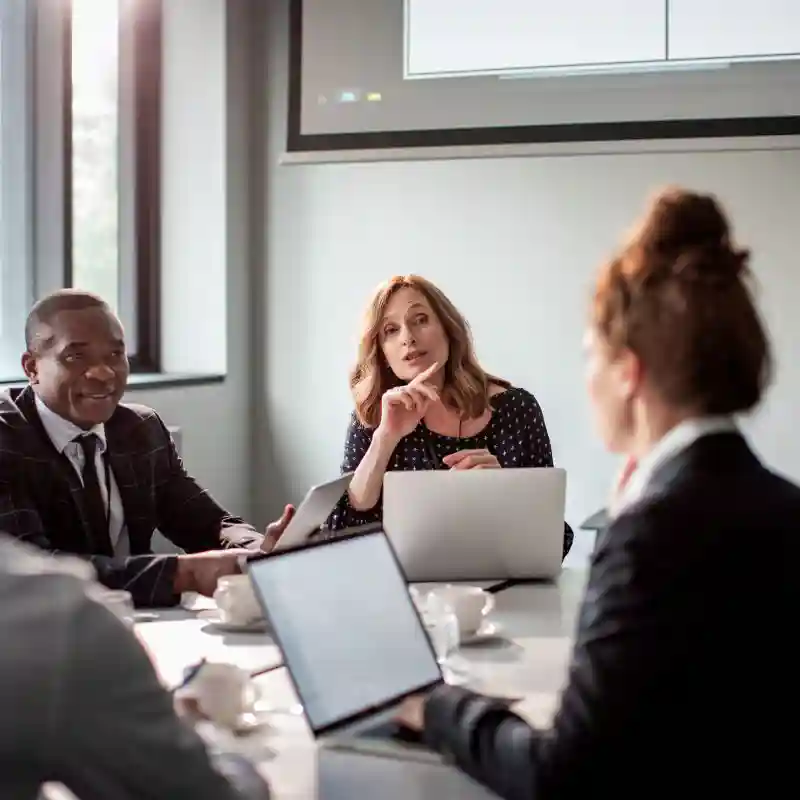 Professionals in a business meeting