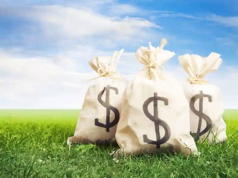 Bags of money on a clear bright sky.