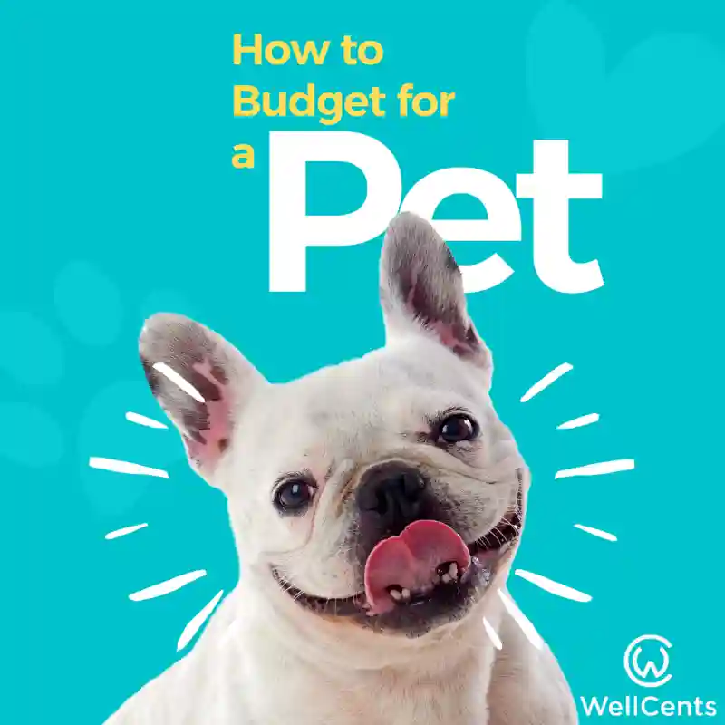 How To Budget For A Pet