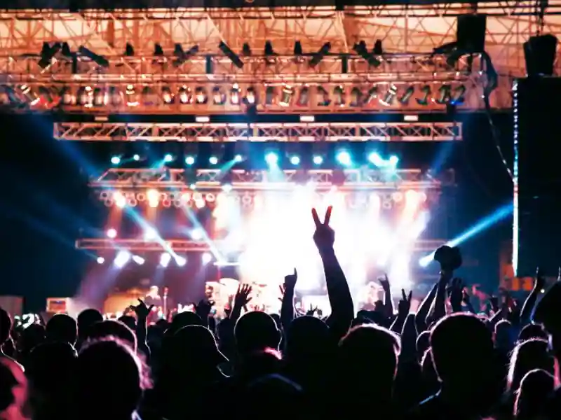 Concert crowd silhouette
