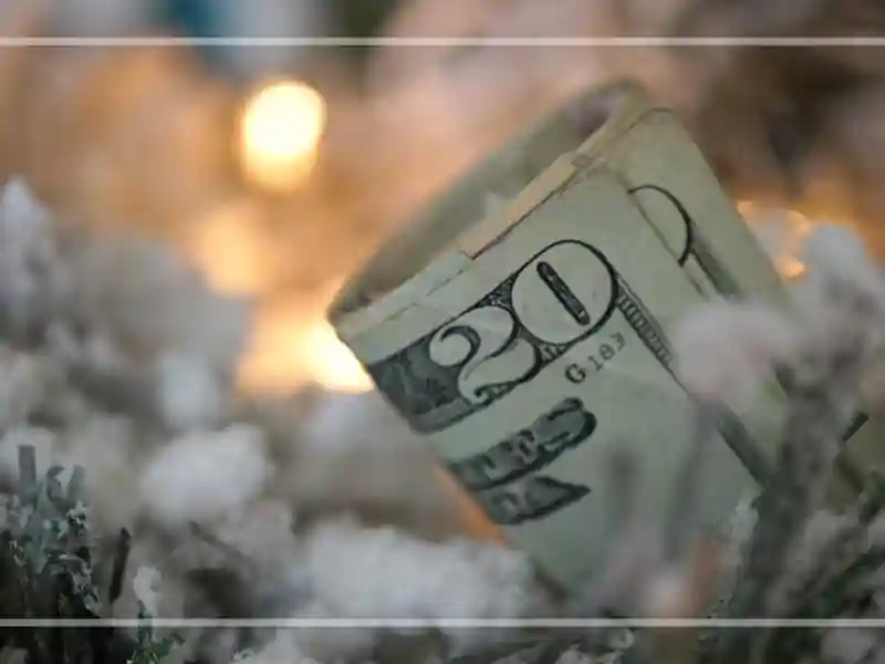 A rolled-up twenty-dollar bill is nestled among snow-covered branches with blurred warm lights in the background.